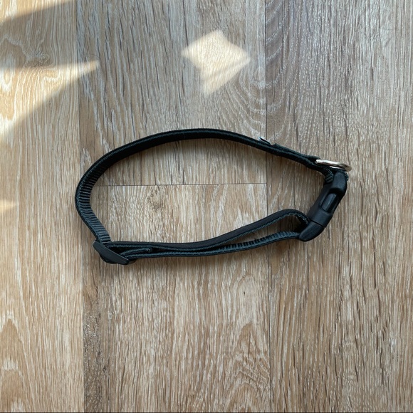 DONATED❤️ Wildebeest Dog Collar in Black size L - Picture 2 of 6